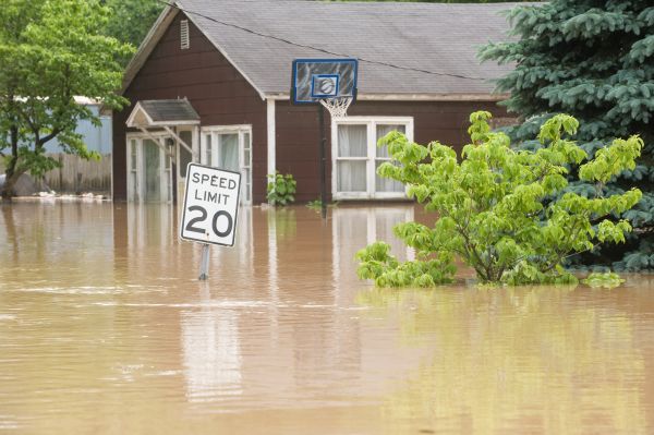 Cost of Storm Restoration Service in Land O Lakes