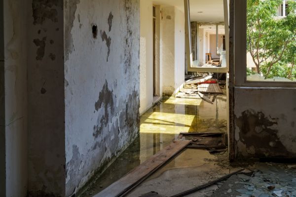 Cost of Water Removal Service in Land O Lakes